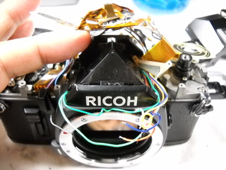 DSCN0461