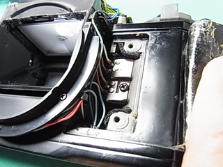 RIMG1353