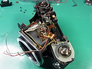 RIMG0503