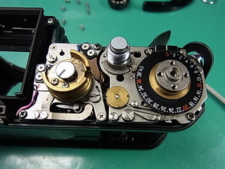 RIMG1781