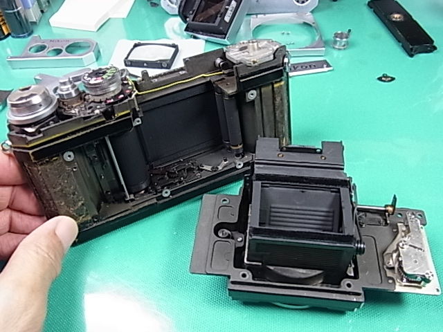 で記念購入 新品級 ニコン F2 シルバー ファインダー分解清掃済 モルト交換済 A803 フィルムカメラ