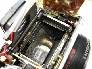 DSCN1254