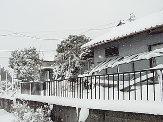 RIMG0989