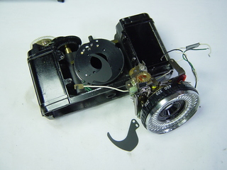 DSC04420