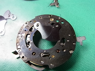 RIMG2452
