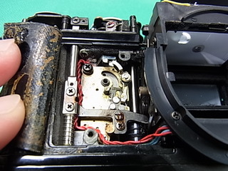 RIMG1352