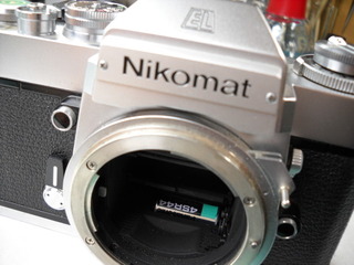 DSCN0772