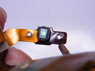 RIMG2035