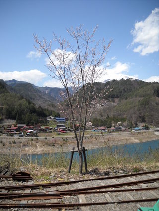 DSCN0074