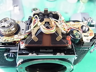 RIMG1099