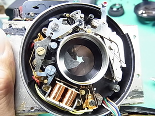RIMG1429