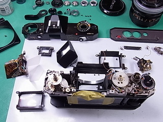 RIMG1723