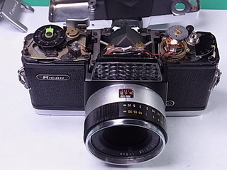 RIMG2951