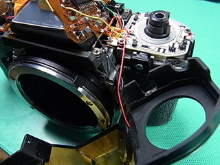 RIMG1036