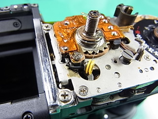 RIMG0547