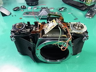 RIMG0501