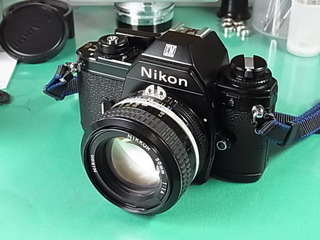 RIMG2494