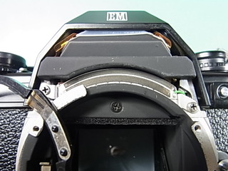 RIMG0818