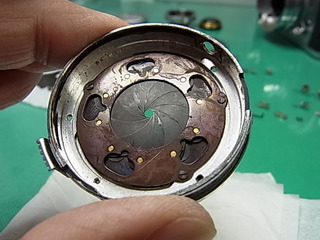 RIMG1040