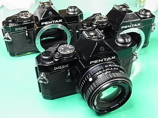 RIMG0981