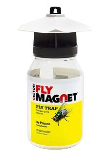 フライマグネット