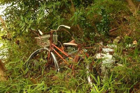 捨てられたママチャリ