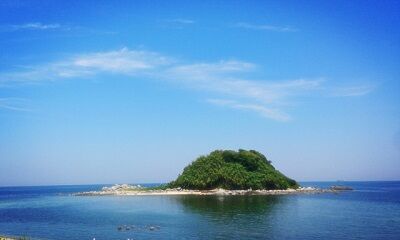 無人島に一つ持っていくなら バカ「食べ物」アホ「ナイフ」ガキ「ライター」