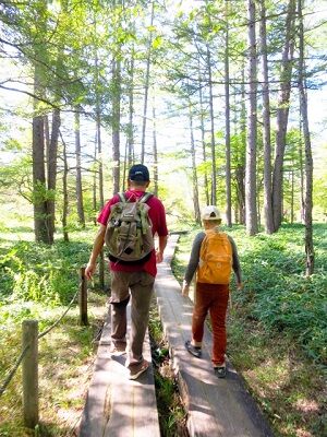 親子ハイキング