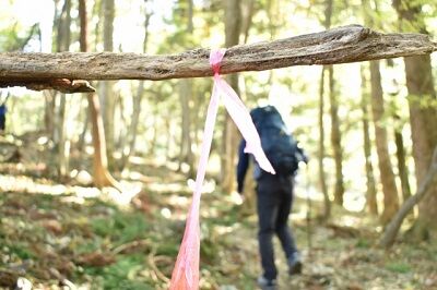 登山（道標・遭難）