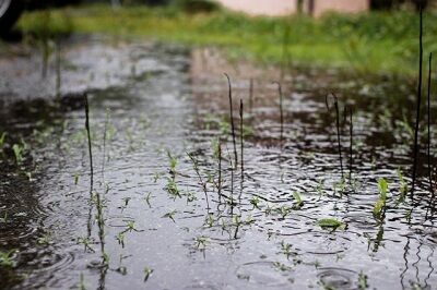 雨のキャンプ場
