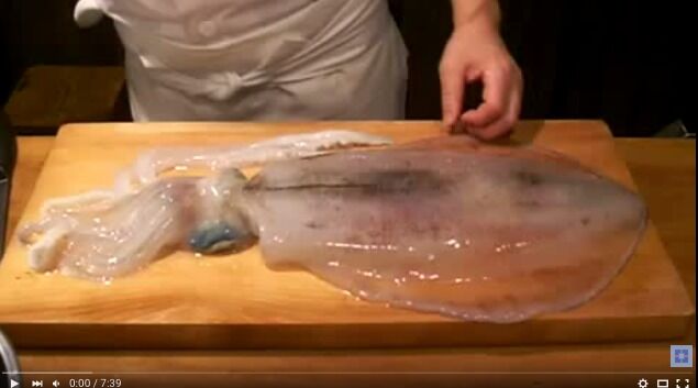 知っているようで知らない 簡単なイカのさばき方 についてまとめてみた ムースのキャンプブログ 知っているようで知らない 簡単なイカのさばき方 についてまとめてみた ムースのキャンプブログ