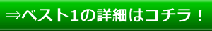 ⇒ベスト1の詳細はコチラ！