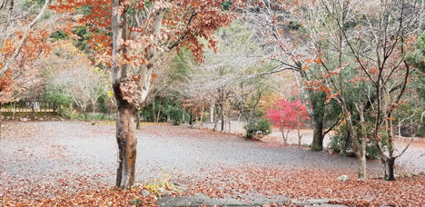 富沢ICまでですが、この近くにはキャンプ場が多くあります。2