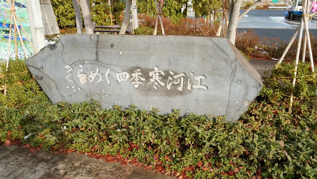 山形県 山形自動車道 寒河江sa 車中泊 グズモキュツアーズ 山形県 山形自動車道 寒河江sa 車中泊 グズモキュツアーズ