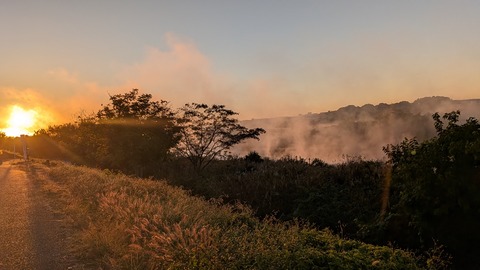 PXL_20251120_214126348