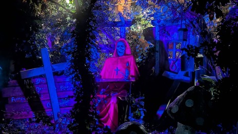 PXL_20251011_085032531_R