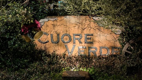 PXL_20241109_085445160_R