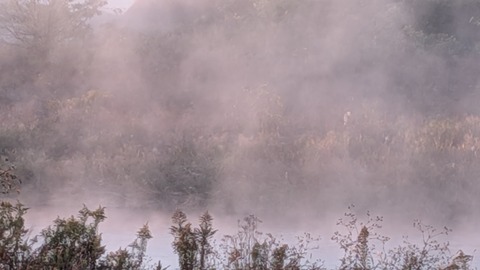 PXL_20251120_214101148