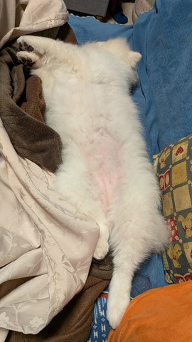 PXL_20251113_125436717