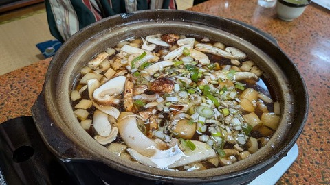 PXL_20251011_014038572.MP_R