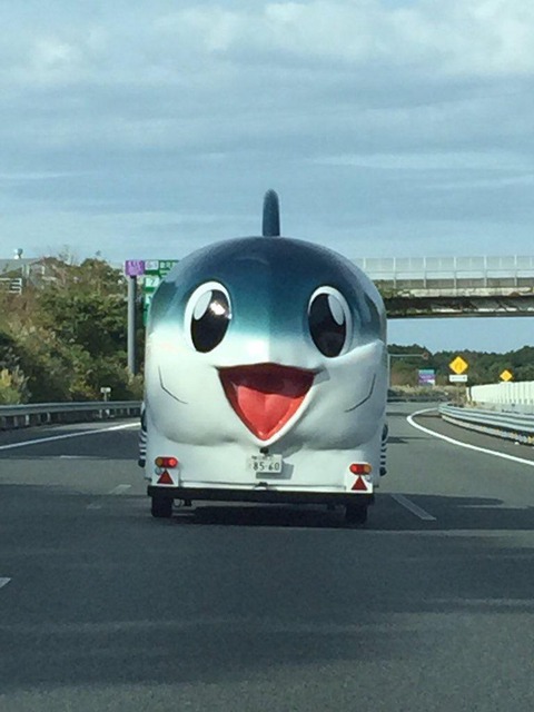 【画像】はごろもフーズさんの営業車、ヤバい 	