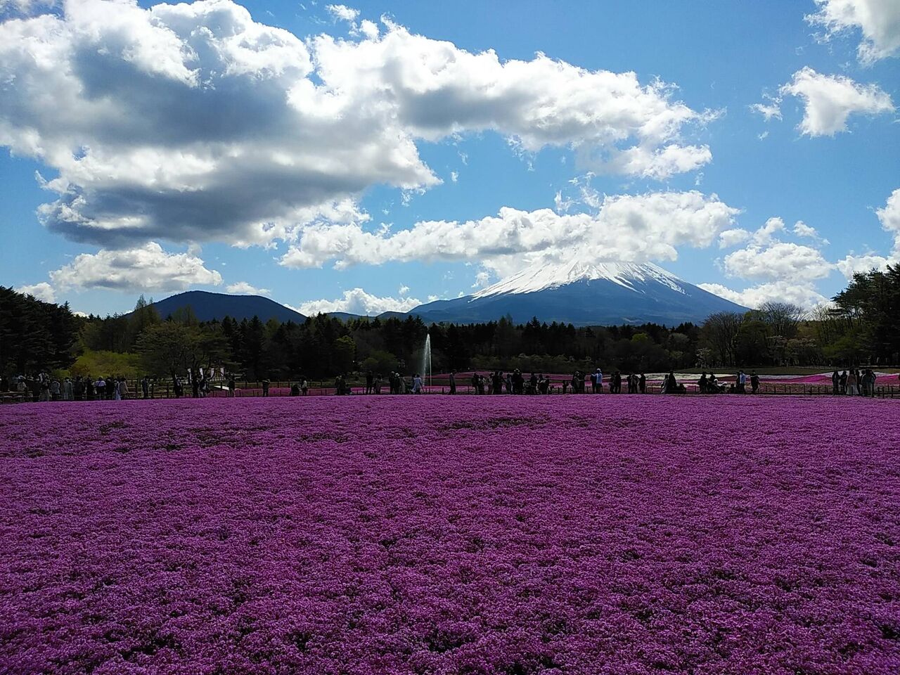 picture