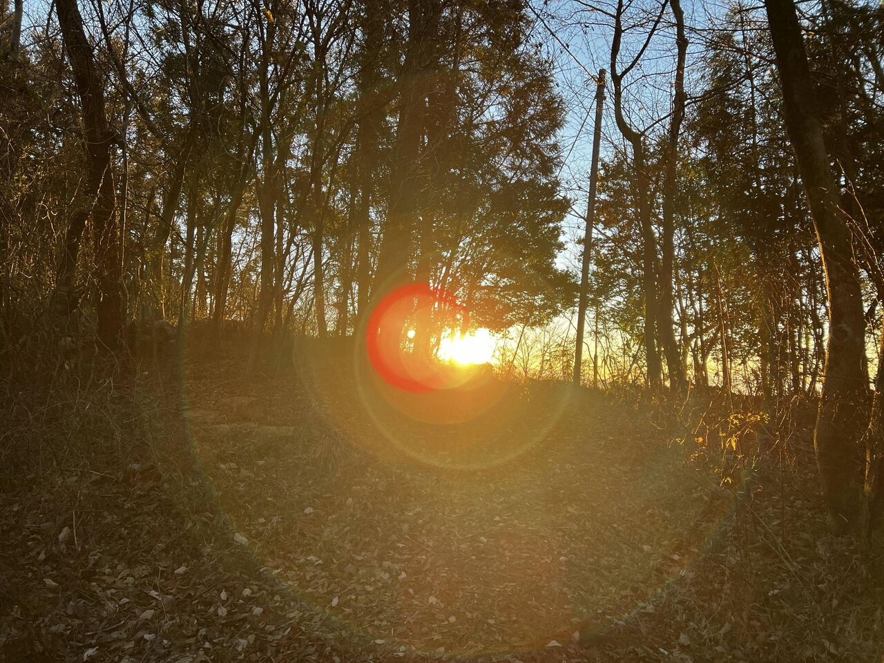 picture