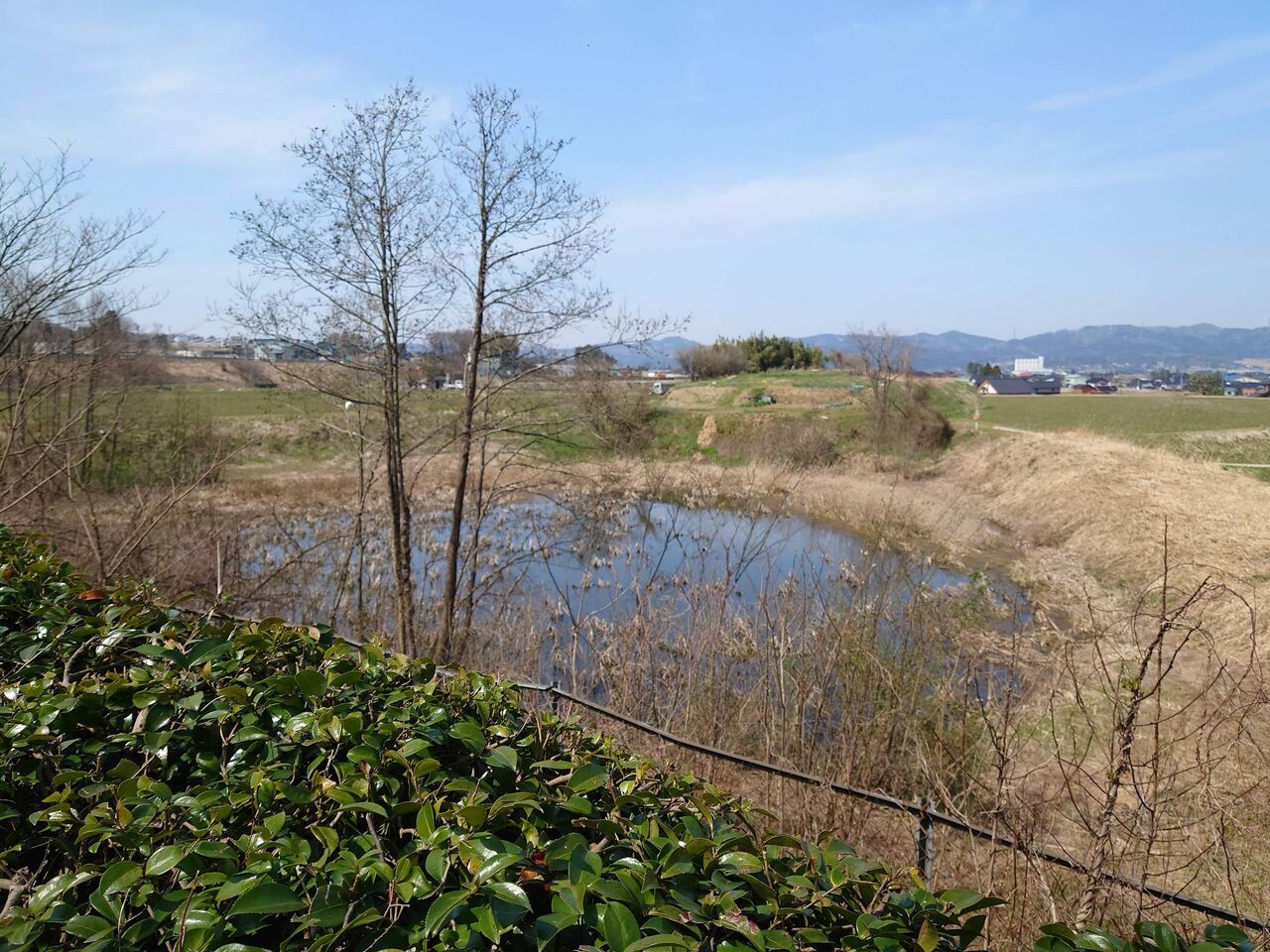 picture