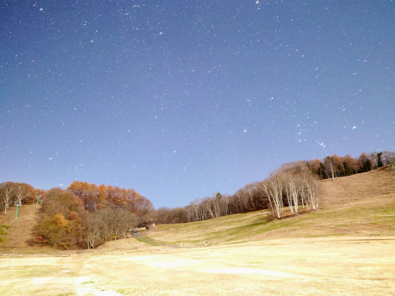 picture
