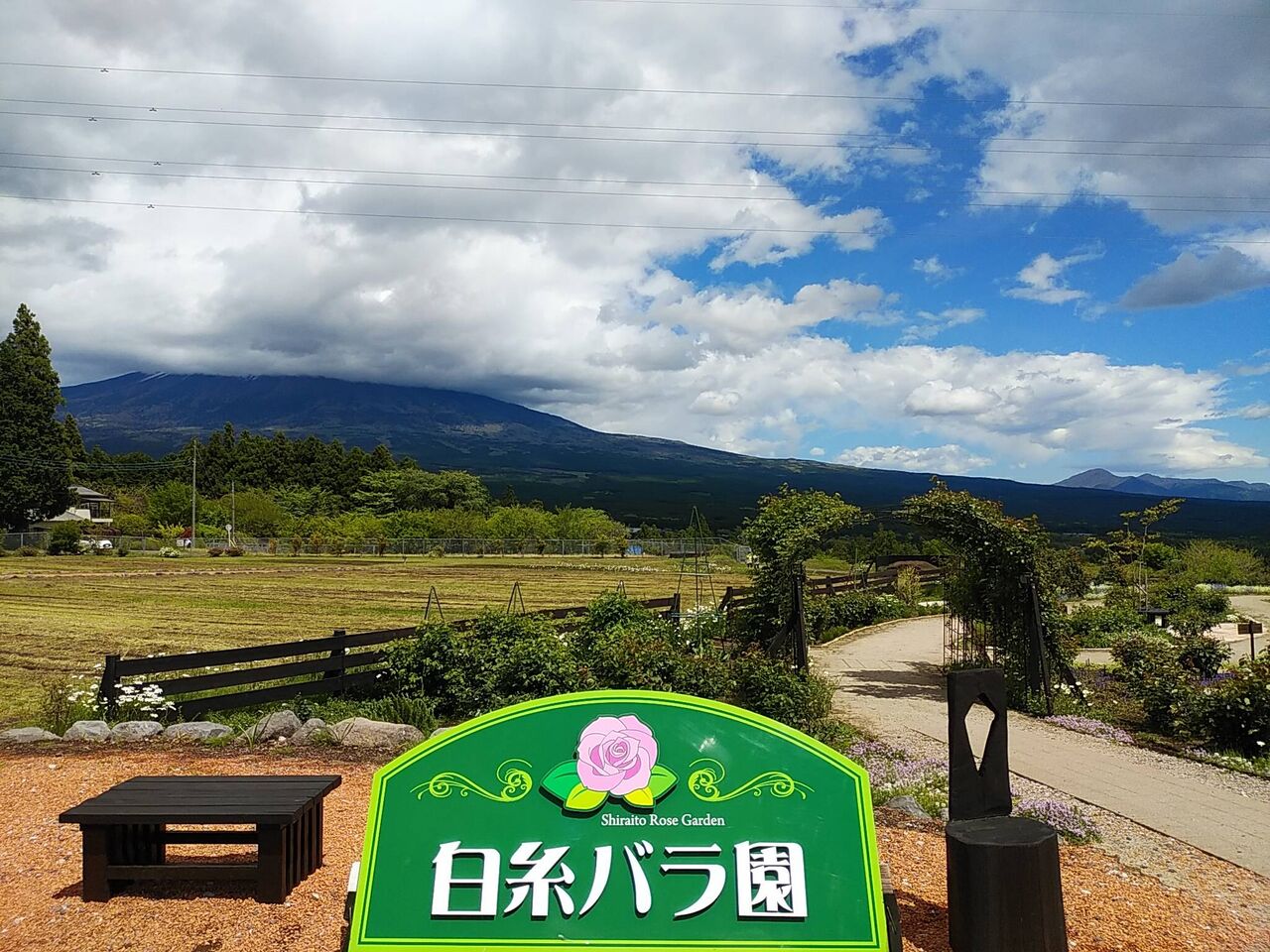 picture