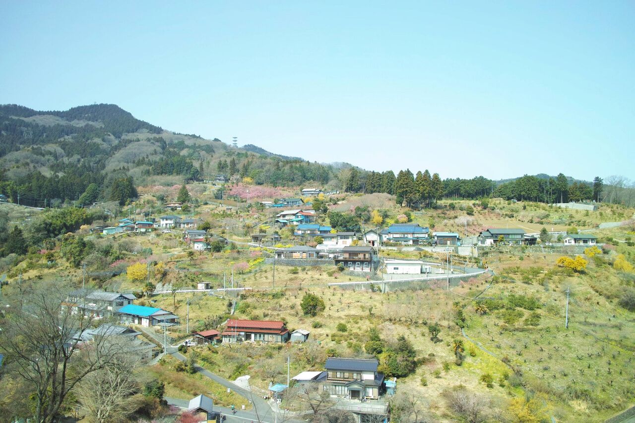 picture