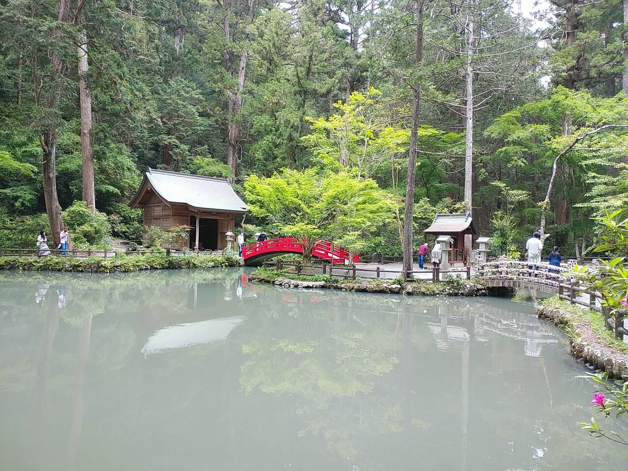 picture