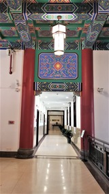 wu (2)