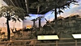 zu (5)